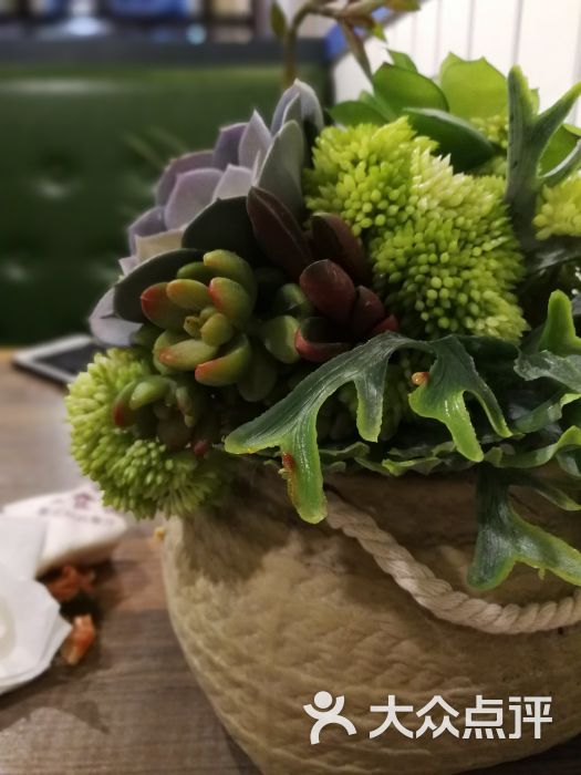 恒大久违的王牌飞翼终于首发亮相!实力不俗曾被球迷寄予厚望‘火狐电竞平台’(图2) 火狐电竞平台