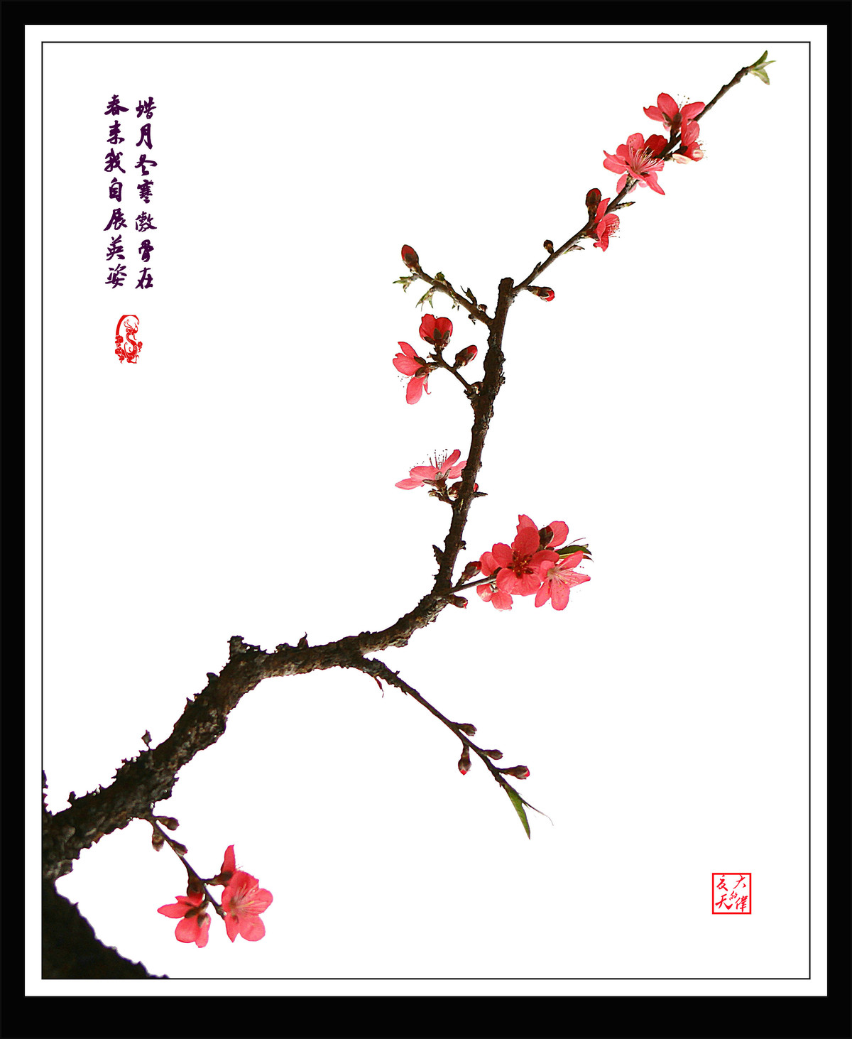 “火狐电竞”
<h1>《潇洒的智慧》有声版在京发行“新书发表会”(图3) 火狐电竞