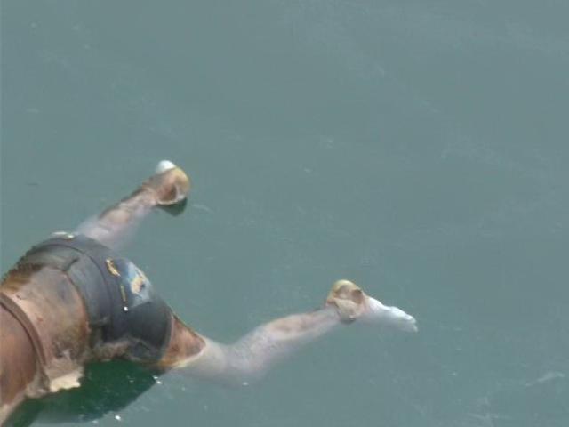 蜜汁烤鸡中翅的做法_【蜜汁烤鸡中翅】----香甜美满_蜜汁烤鸡中翅怎么做_是甜甜呀的菜谱“火狐电竞”(图3) 火狐电竞